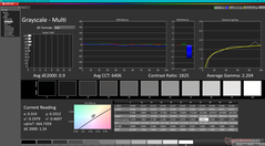 Niveaux de gris après calibration