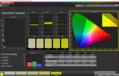 Balayages de saturation CalMAN