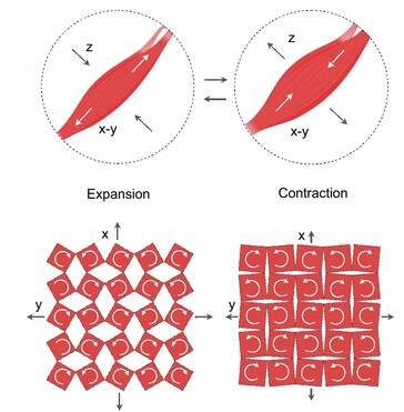 Le patch vocal comporte des fentes dans la membrane magnétique. La flexion pendant la parole crée un signal électrique à partir du mouvement des particules magnétiques intégrées. (Source : article de Ziyuan Che et al.)