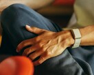 Garmin pourrait bientôt présenter une alternative au Polar Loop présenté ici.