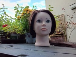 Image de la caméra frontale