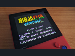 Une image de Ninja Gaiden Shadow DX sur X (source d'image : Marc Max)