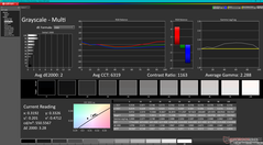 Echelle de gris avant calibration (vs. P3)