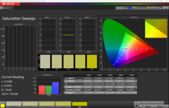 CalMAN Saturation calibrée