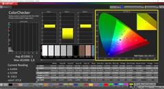 CalMAN ColorChecker (profil : Display P3, espace colorimétrique cible : P3)