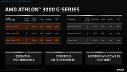 AMD Athlon 3000G CPUs take on Intel Pentium Gold and Celeron offerings. (Source: AMD)