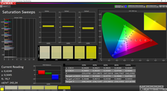 ThinkPad X1 Tablet G3 - CalMAN : saturation (sRVB).