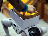 Le robot humanoïde T1 capable de se transformer en chien robot