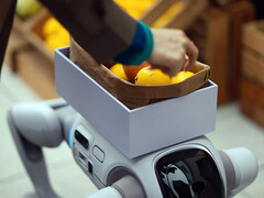 Le robot humanoïde T1 capable de se transformer en chien robot