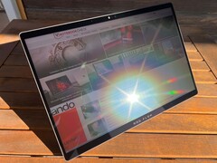 Au soleil (avec reflet)