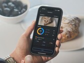 La fonction "Journal alimentaire" de l'application Zepp (photo) a été améliorée. (Source : Zepp Health)