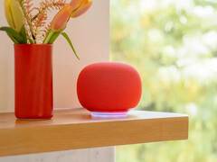 L'enceinte Google Home Speaker dans le Berry. (Source de l'image : Google)