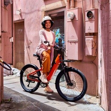 Le vélo électrique Momentum Vida E+ peut supporter une charge utile maximale de 300 livres (136 kg) (Source d'image : Momentum)