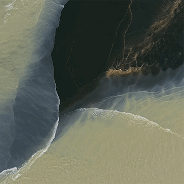 Une première fuite du fond d'écran du Pixel 11 Pro Fold montre son look Pine, Tidal Swirl