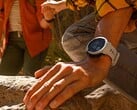 La smartwatch Instinct 2 de Garmin (photo) reçoit la version bêta 17.08. (Source : Garmin)
