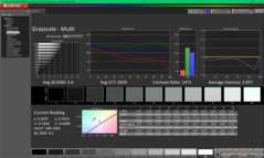 Niveaux de gris avant calibration (vs. P3)