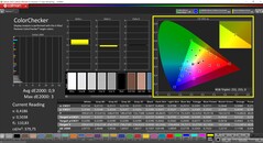 CalMAN ColorChecker (profil : sRGB, espace couleur cible : sRGB)