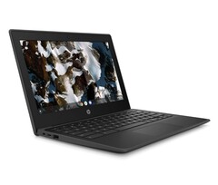 HP Chromebook 11 G9 Education Edition est désormais disponible avec les options MediaTek et Celeron (Source : HP)