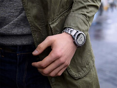 La Fenix 6 et ses homologues reçoivent rarement des mises à jour logicielles stables de nos jours. (Source de l'image : Garmin)