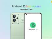 Realme a un nouveau programme d'accès anticipé. (Source : Realme)