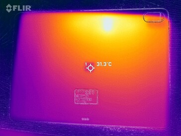 Carte thermique du dos