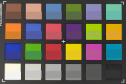 Asus ZenFone 6 - ColorChecker : la couleur de référence se situe dans la partie inférieure de chaque bloc.