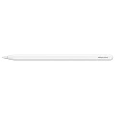 Apple Crayon Pro