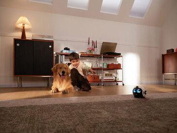 Compagnon de compagnie 