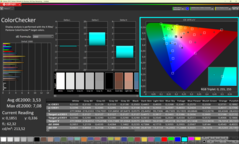 CalMAN - Color Checker (calibré)