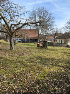 Appareil photo principal (sans zoom)