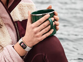 Fitbit a déployé de nouveaux cadrans de montre sur les Charge 5 et Luxe, anciennement illustrés. (Image source : Fitbit)
