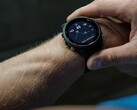 La smartwatch Garmin Forerunner 255 reçoit la version bêta 15.18. (Image source : Garmin)