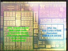 Le Tegra T239 devrait offrir des performances nettement supérieures à celles de la série Tegra X1. (Image source : Wikipedia via kopite7kimi)