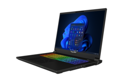 Ordinateur portable de jeu Tulpar S8 V1.1 18 pouces