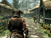 Image du jeu The Elder Scrolls V : Skyrim. (Source de l'image : Steam)