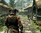 Image du jeu The Elder Scrolls V : Skyrim. (Source de l'image : Steam)
