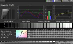 CalMAN Niveaux de gris