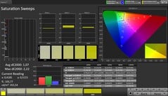 Saturation de CalMAN