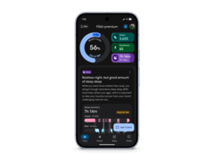 L&#039;application Fitbit remaniée (photo) se dote d&#039;un coach santé IA. (Source de l&#039;image : Fitbit)