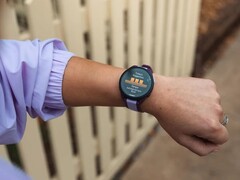 La Garmin Forerunner 165 recevra bientôt une nouvelle mise à jour bêta. (Source de l'image : Garmin)