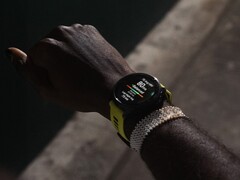 Garmin a lancé la version bêta 19.13 pour les smartwatches Forerunner. (Source de l&#039;image : Garmin)
