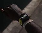 Garmin a lancé la version bêta 19.13 pour les smartwatches Forerunner. (Source de l'image : Garmin)