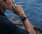 Huawei a publié la version 4.0.0.219 du logiciel pour la Watch 4 Pro. (Source de l'image : Huawei)