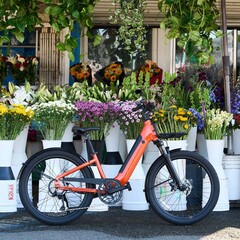 Le vélo électrique Momentum Vida E+ offre une autonomie totale de 88,5 km avec une seule charge (Source : Momentum)