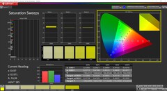 Saturation CalMAN (profil : Display P3, espace couleur cible : P3)