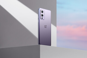 OnePlus 9 - Brume d'hiver. (Image Source : OnePlus)