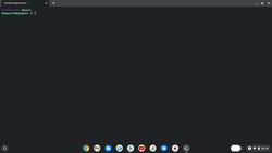 Environnement Linux sous Chrome OS