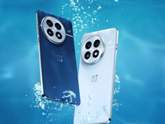 Le OnePlus 13 est disponible en deux couleurs au niveau mondial, à moins que vous n'optiez pour sa variante à mémoire plus élevée. (Source de l'image : OnePlus)