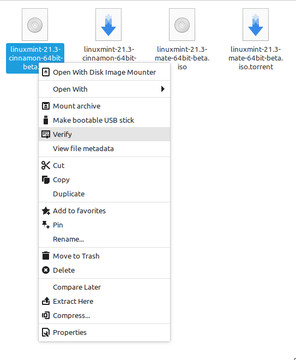 Menu contextuel amélioré dans le navigateur de fichiers Nemo grâce à Action Spice (Image : Linux Mint).