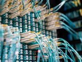 Câbles à fibre optique bleus dotés de connecteurs blancs branchés sur un panneau de raccordement dans un centre de données